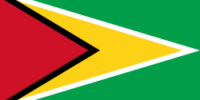 Guyana Vinasc group